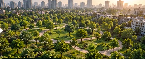 Aerial view of the restored park, dense canopy and paths below the skyline