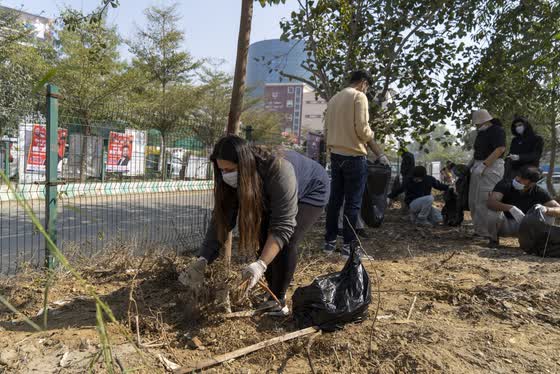 Clean-up day: volunteers bagging waste on the site.