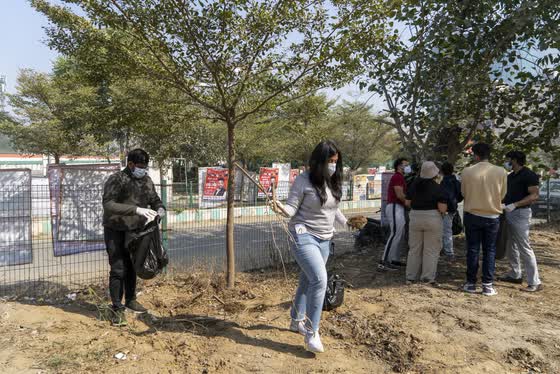 Volunteers clearing the ground between the trees.