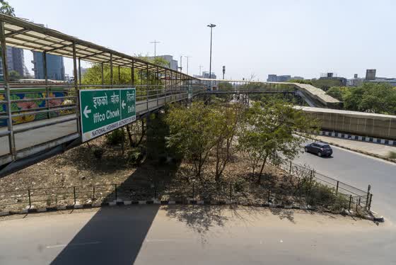 The green belt at the roadside.