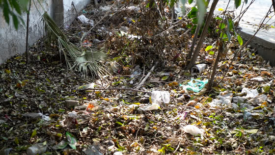 Before: plastic and household waste in the undergrowth.
