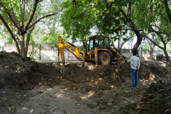A backhoe clearing debris from under the trees.