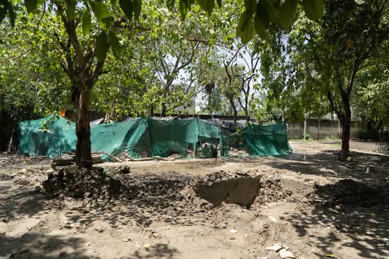 Pits dug and filled with fresh soil.
