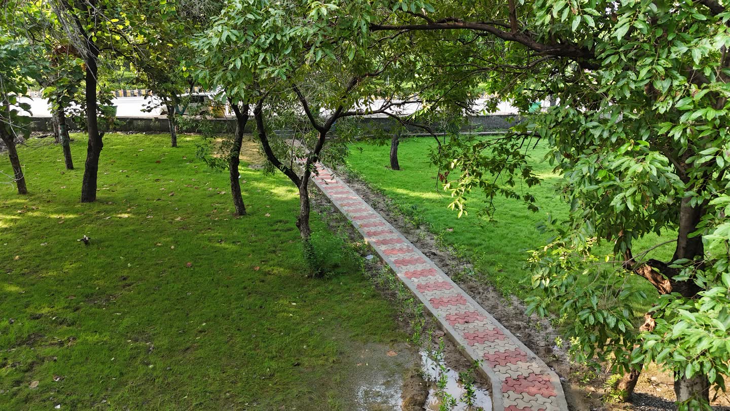 Lawn and a paved path under the trees, photographed in August 2026.