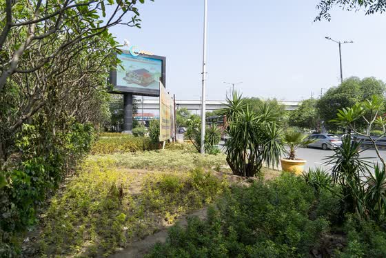 A landscaped strip beside the road.